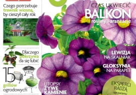 Okładka miesięcznika Magnolia 05/2013