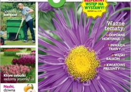 Magazyn Magnolia 9/2016