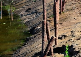 prezentacja ogrodowa