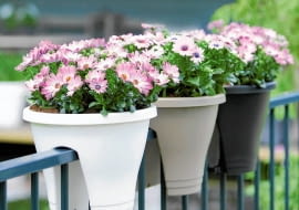 <B>Metalowe czy drewniane? Stojące, a może wiszące? Wybór doniczek i osłonek bywa równie trudny jak wybór kwiatów balkonowych.</B> <BR >Osłonki z tworzywa sztucznego, wys. 27 cm, 31 zł/szt., Markus