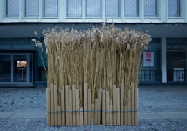 'Sukkot - budujemy szałas!'