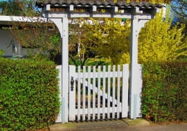 Żywopłoty to ozdoba ogrodu o wielu funkcjach: chronią, stanowią tło dla pojedynczych okazów lub obramowanie rabat i wydzielanych przestrzeni