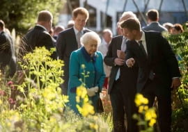 Chelsea Flower Show 2015 / RHS Gardening