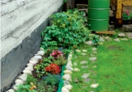 Widok ogrodu przed metamorfozą