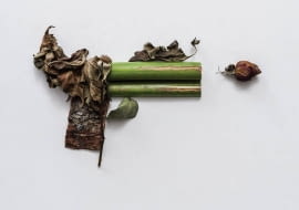 Zielona broń Soni Rentsch