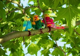 KOLOROWE WŁÓCZKOWE PAPUGI mogą przysiąść na gałęziach drzew również w naszym ogrodzie.