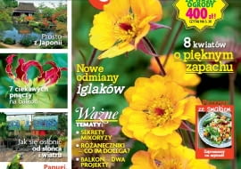 Magazyn Magnolia maj 2015