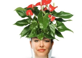 Doniczka ze zdjęciem - pomysł na prezent