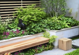 Elegancka podwyższona rabata pełna m.in. funkii i serduszek okazałych służy jednocześnie za oparcie ławki