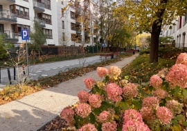 Nowy woonerf na ul. Brandysa