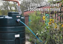 Nie musisz wydawać pieniędzy na wodę do podlewania ogrodu - wystarczy, że zainwestujesz w zbiornik na deszczówkę