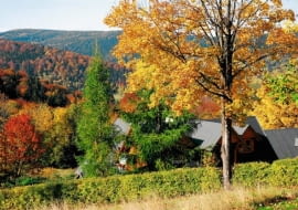 Jak dbać o ogród jesienią?