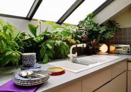 Houseplants below skylight window in modern attic kitchden SLOWA KLUCZOWE: INTERIORS INTERIOR detail KITCHENS TAPS CROCKERY PLANTS DETAIL DETAILS TOWN ATTICS LOFTS HOUSEPLANTS MODERN ZDJĘCIE DO WKŁADKI: Analogue