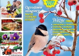 Magazyn Magnolia - 1/2015