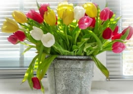 Wazony na wiosenne kwiaty