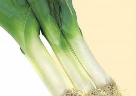 Pory można przechować do wiosny na zagonkach, ale trzeba je osłonić przed mrozem