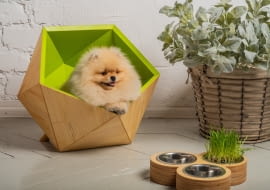 Eleganckie meble dla psów