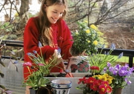 Rtalisation d'une jardiniTre de printemps. Plantation d'un rosier, enfant SLOWA KLUCZOWE: Balkonkasten Balkon-Kasten Blumenkasten FrŁhling Kind Leute Mensch People Pflanze Pflanzen Schritt fŁr Schritt step