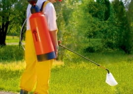 środki ochrony roślin,środki chemiczne,pryskanie roślin OGROD CHWASTY NARZEDZIA OPRYSKIWACZ ORION Z PREPARATEM CHWASTOBOJCZYM FOT. KWAZAR PUBLIKACJA KWIETNIK NR 6 (162) - 6 2008