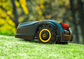 Jak cieszyć się pięknym trawnikiem