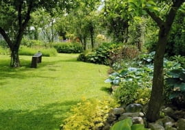 Bazą tego ogrodu są drzewa owocowe - rabaty ozdobne założono tu poza zasięgiem koron