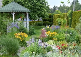 Mój ogród najlepiej opisują trzy słowa: kolorowy, różnorodny, pachnący.