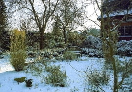 ONE TIME USE ONLY DO JEDNOKROTNEJ PUBLIKACJI ZIMA OGROD ROSLINY FOT. OASE PUBLIKACJA KWIETNIK NR 1 (145) - 1 2007