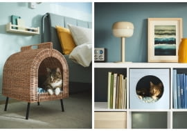 Design dla zwierząt - projekty poprawiające jakość życia czworonogów