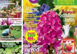 Magazyn Magnolia 2015