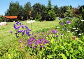 Grupy drzew i pasma kolorowych krzewów kontrastują tu z otwartą przestrzenią