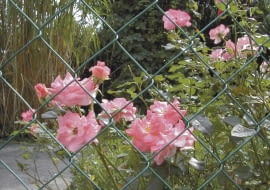 Siatka metalowa, ogrodzenie, ogrodzenie z siatki, siatka ogrodzeniowa