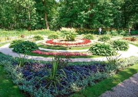 Ogród botaniczny Uniwersytetu Warszawskiego. Enklawa przyrody w centrum miasta z ok. 5 tys. odmian i gatunków drzew, krzewów oraz roślin zielnych. Niektóre, np. ogromny buk, zostały posadzone jeszcze przez założyciela ogrodu, Michała Szuberta. Symbolem tego mejsca jest liść rosnącego tu dorodnego miłorzębu dwuklapowego. Ogród czynny: IV-VIII w godz. 9-20 (sob., niedz. i święta 10-20); IX w godz. 10-18; X w godz. 10-17. Ceny biletów: ulgowy 5 zł, normalny 10 zł. Adres: Aleje Ujazdowskie 4, Warszawa