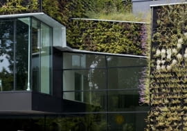 ekologia, holandia, publiczne, fasada, elewacja, architektura organiczna