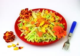 5A3GCR4 Marigolds salad Tagetes hybr. Recipe available