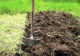 JESIENIĄ GLEBĘ tylko przekopujemy, nie grabimy jej (pozostawiamy w ostrej skibie)