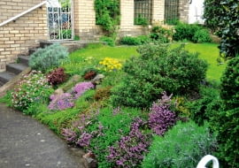 OGROD , NA SKARPIE ROSNIE : WRZOS , WRZOSCE , FLOKS SZYDLASTY , BODZISZEK FOT. LILIANNA SOKOLOWSKA PUBLIKACJA KWIETNIK NR 1 (193) - 1 2011