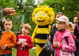 Owadzie Lato z Pszczółką Mają