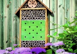Budka dla owadów pożytecznych