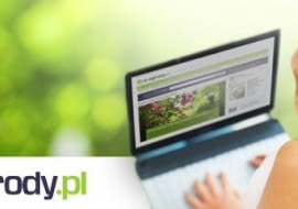 zapisz się na newsletter