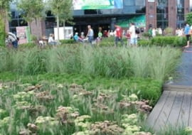 Wystawa Zieleń To Życie