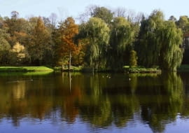 28.10.2003 KORNIK KOLO POZNANIA ZAMEK Z ARBORETUM PARK KORNICKIE KORNICKI JESIEN ZIELEN OGROD JEZIORKO WODA STAW ZBIORNIK WODNY OCZKO WODNE