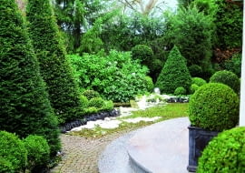 w lutym, choć śniegu często jeszcze nie brakuje, zaczynam już myśleć o wiośnie.