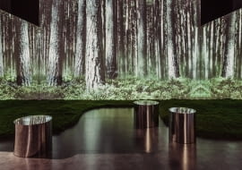 Wystawa „Las – Schronienie ofiar. Kryjówka zbrodni” w Muzeum II Wojny Światowej w Gdańsku / 30.08.2024 - 28.02.2025