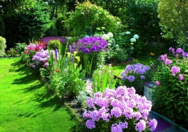 Pełnia lata to najpiękniejszy czas w moim ogrodzie - rabaty dosłownie toną w kwiatach.