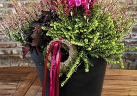 Jesienna kompozycja z wrzosów, wrzośców, cyklamenów i żurawki