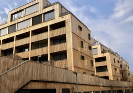 Woody M Apartment w Wiedniu. Proj. Freimüller Söllinger Architektur