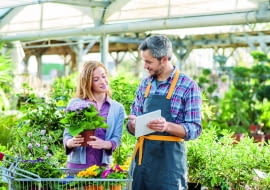 Warto robić zakupy w renomowanych sklepach i szkółkach. Zwykle sprzedawcy tam są dobrze poinformowani i mogą nam wyjaśnić wątpliwości co do nazw roślin i sposobu ich pielęgnacji.