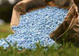 Każda grupa roślin wymaga nieco innych składników pokarmowych