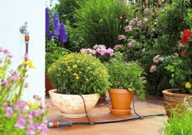 Automatyczne nawadnianie