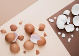 Nawóz ze skorupek jajek